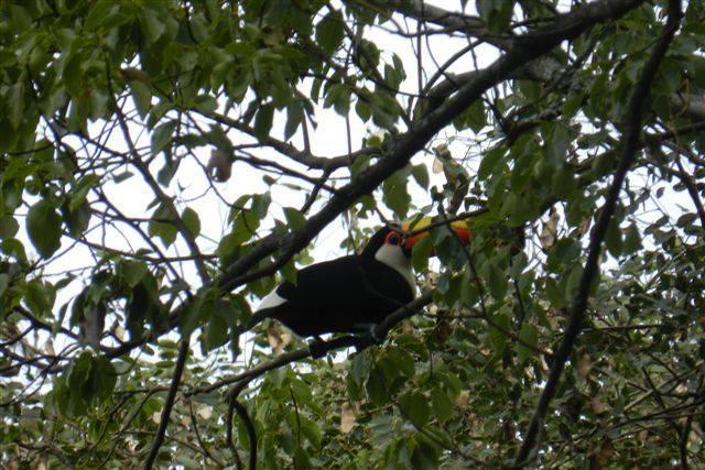 Finca La Colorada San Salvador de Jujuy Dış mekan fotoğraf