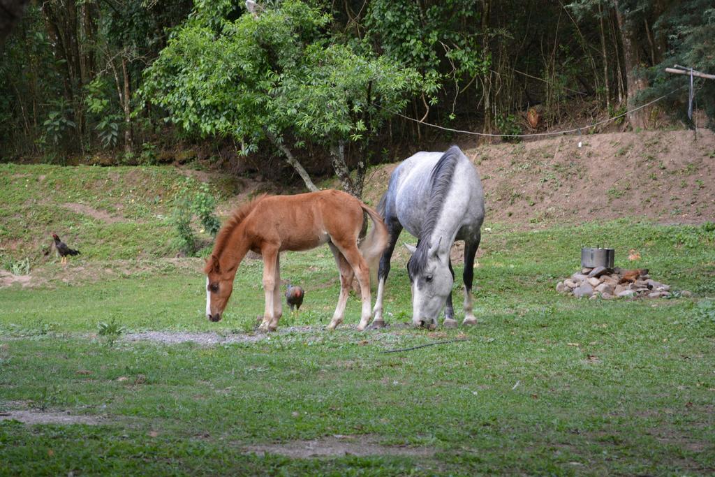 Finca La Colorada San Salvador de Jujuy Dış mekan fotoğraf